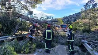 Directo | Problemas en carreteras de Castellón y suspensión de trenes por las rachas "salvajes" de viento