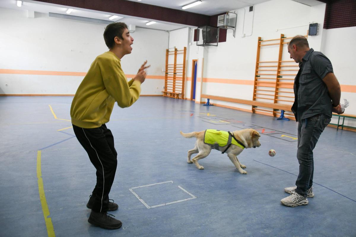 Terapia con perros en el colegio Virgen del Castillo de Zamora