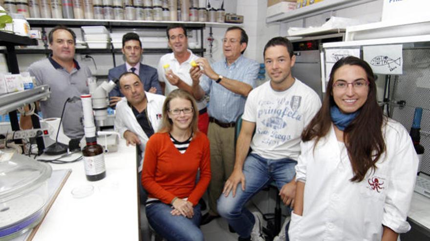 Los investigadores Santiago Pascual, Ángel González y Ángel Guerra, junto a Luis Outeiriño (de corbata), de Comercial Hospitalaria Grupo 3, y otros miembros del grupo Ecobiomar, ayer, en las instalaciones de Investigaciones Marinas. // J. Santomé