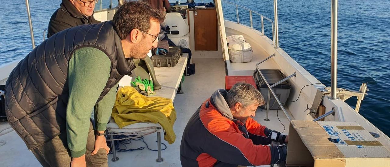 Los biólogos analizan el fondo marino y las corrientes del mar en Orpesa.