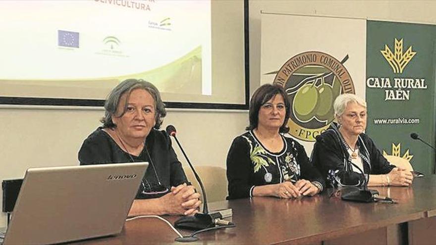 Las jornadas abordan la gestión óptima del olivar