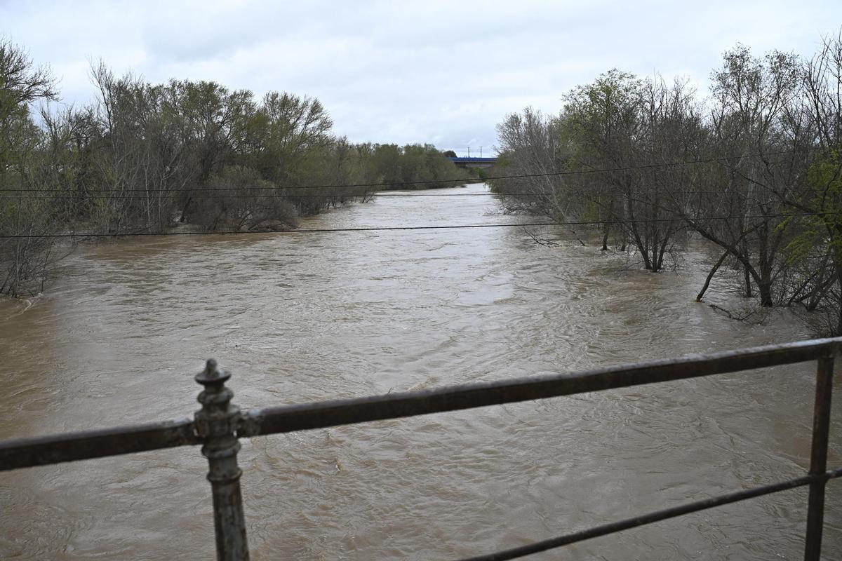 Alerta roja por posible desbordamiento en el río Jarama.