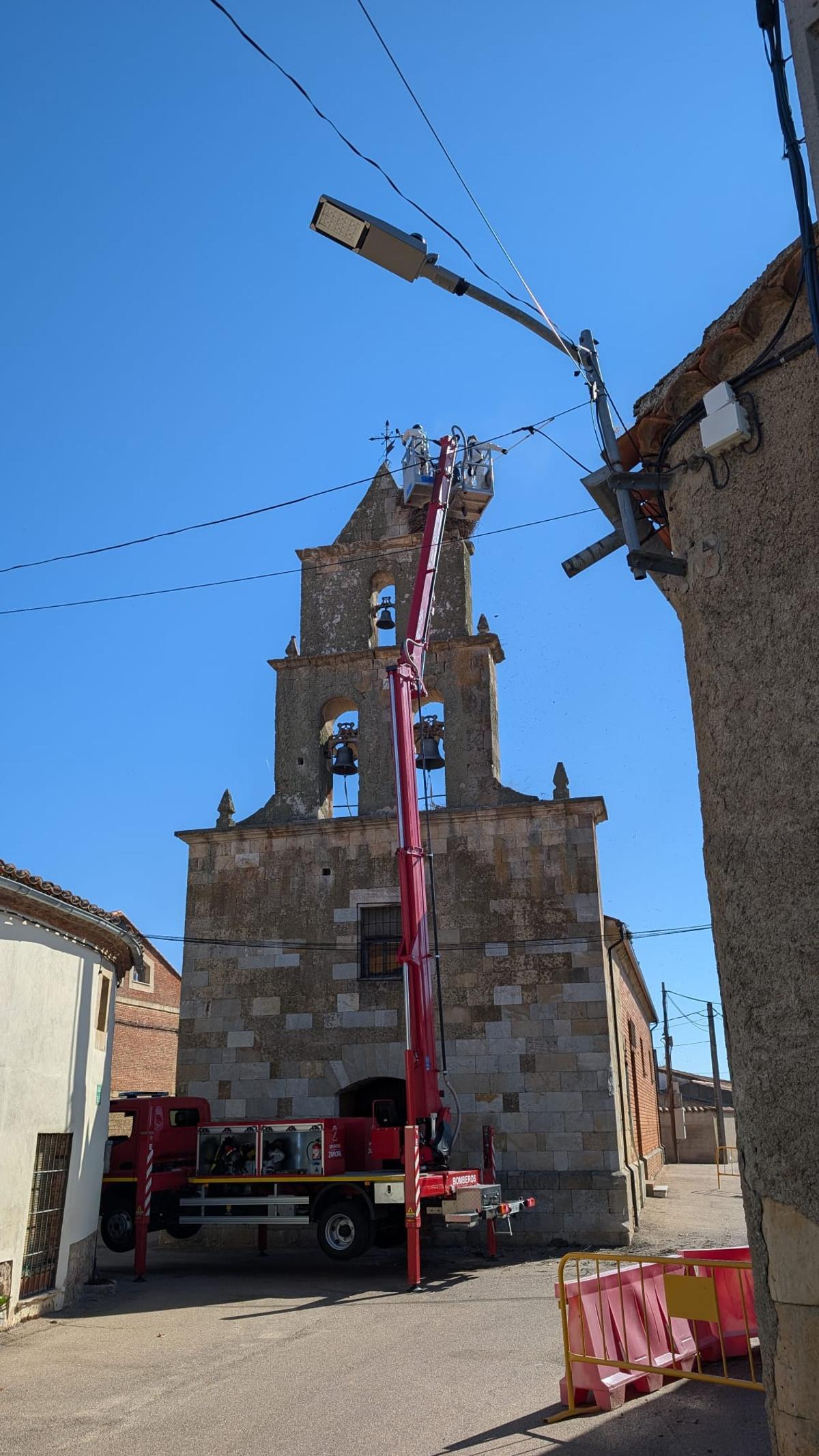Bomberos retiran el nido de la torre de Villanueva de Campeán