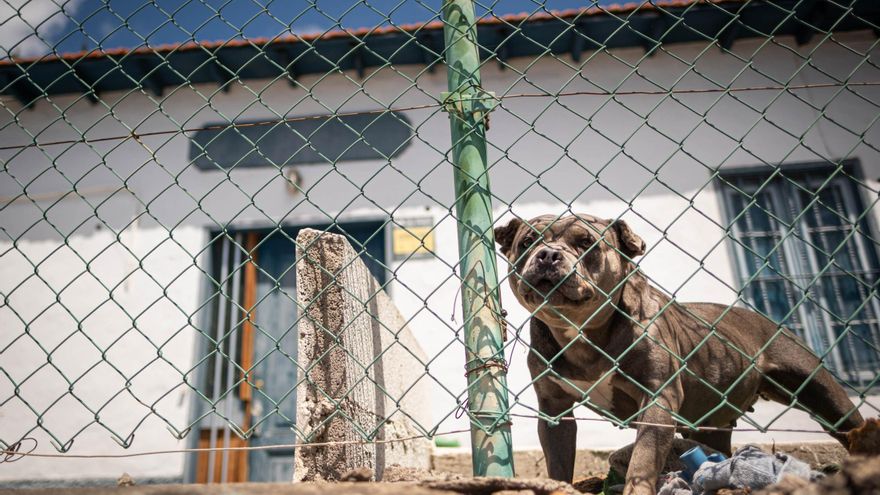 La Casa del Caminero, en San Andrés, libre de okupas después de cinco años