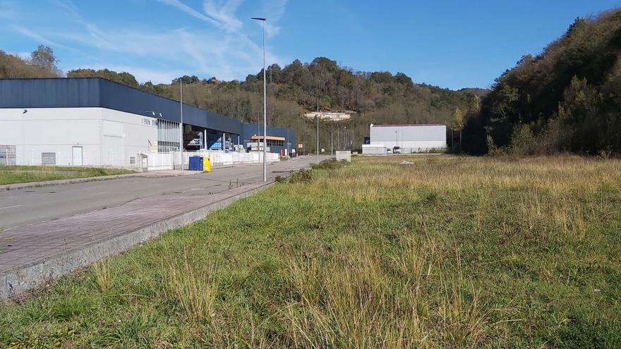 La planta de compostaje vegetal de Langreo, que cuesta 746.000 euros, estará ejecutada el próximo verano