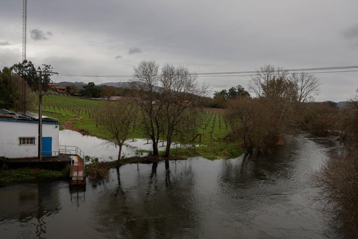 La huella de la borrasca Ingrid en la comarca.