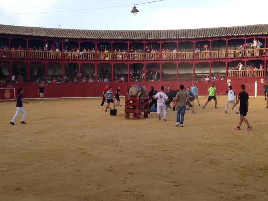 Fiestas Toro- concurso de jóvenes cortadores