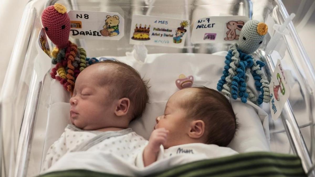 Dos bebés prematuros, con los pulpitos de ganchillo en su cuna, en un hospital de Barcelona.