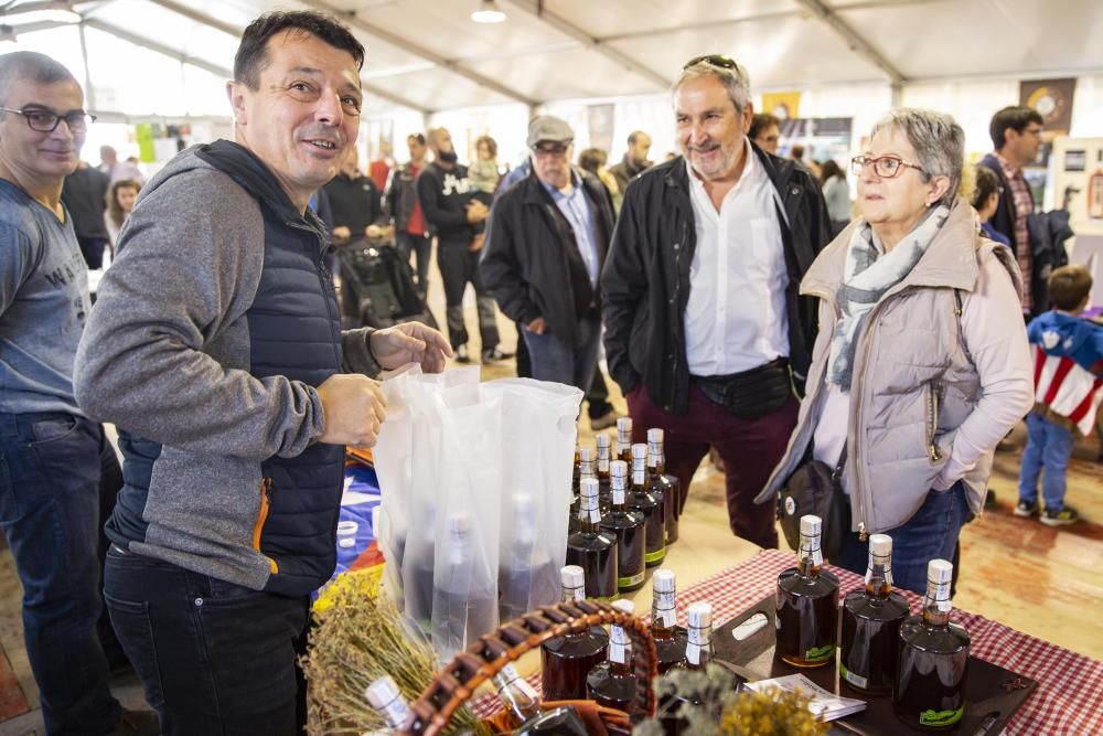 Santa Coloma celebra la Festa de la Ratafia