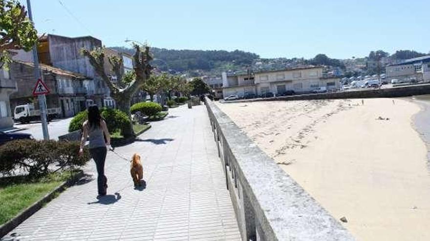 Una joven pasea con su perro por el paseo de Pescadoira. // J.Santos