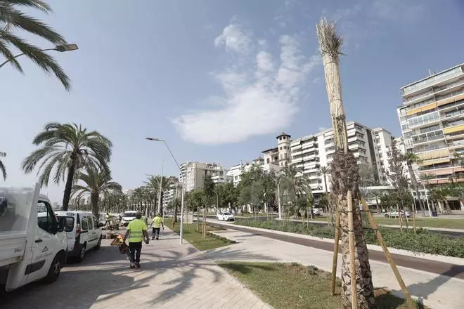 El estado actual del Paseo Marítimo, en imágenes.