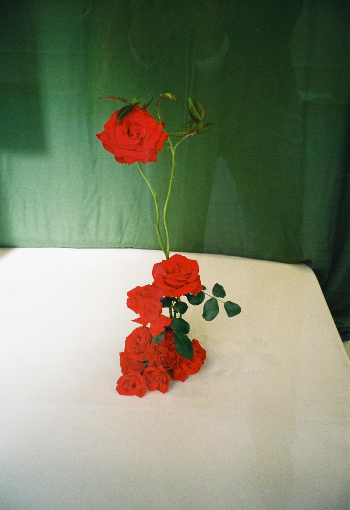 'Bouquet' similar al que ofrecerá en Sant Jordi