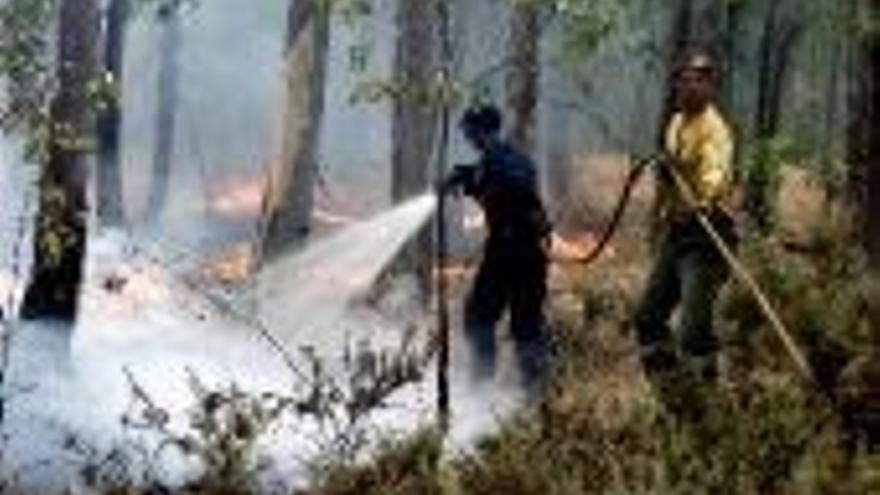 Los bomberos apagan un incendio en una alameda