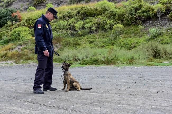 Reportaje a la Unidad Canina de la Policia ...