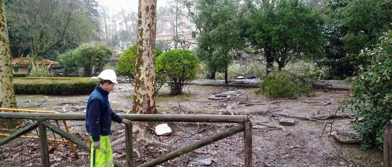 Un operario retira la malla metálica de la valla del estanque del parque García Lago de La Felguera.