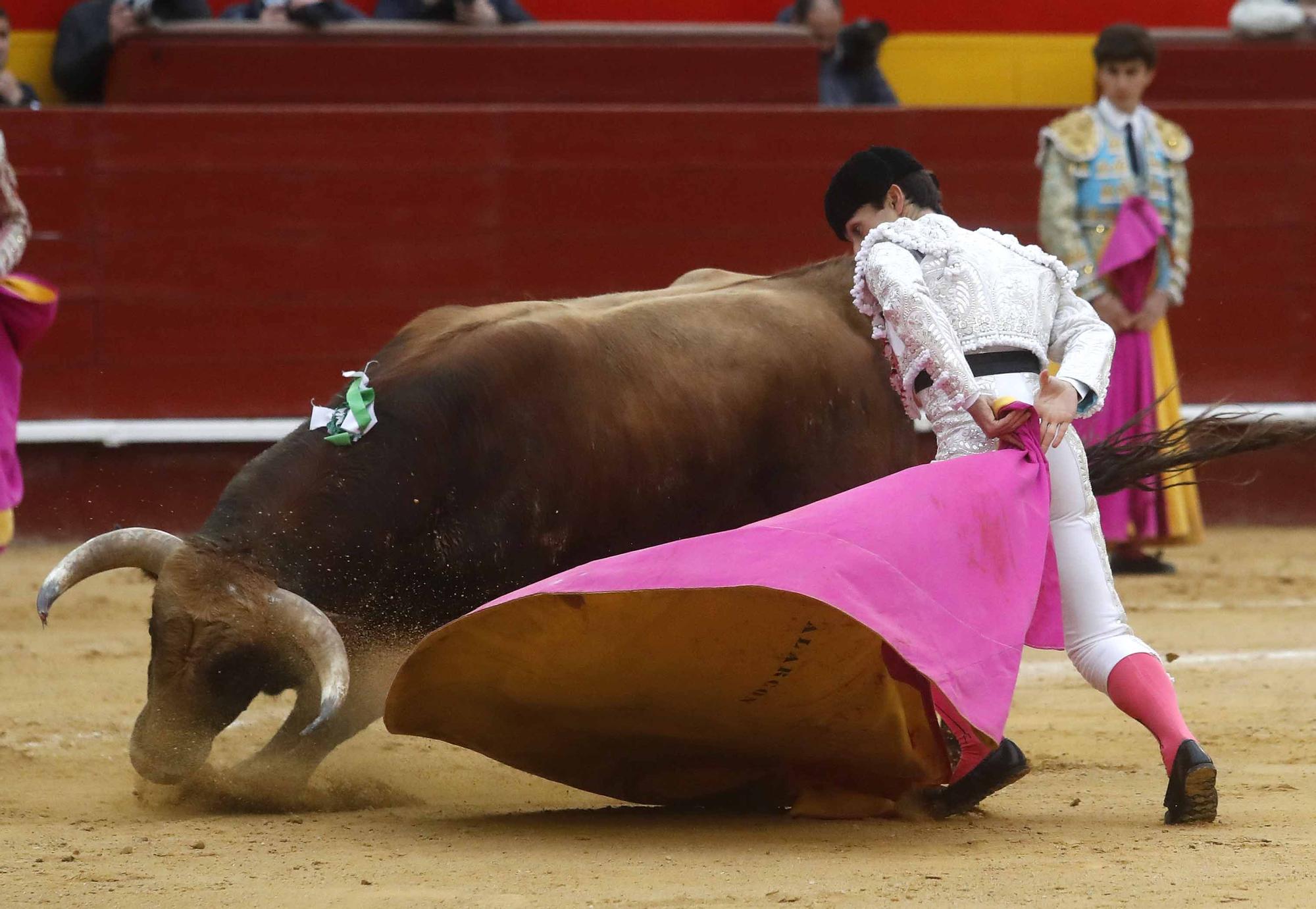 "El Niño de las Monjas", primera puerta grande de Fallas