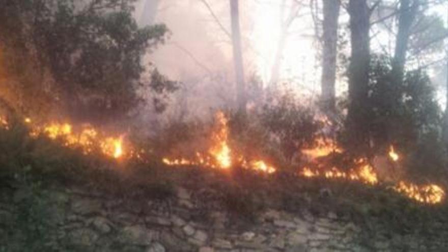 Els Bombers han aconseguit controlar les flames pels volts de les vuit del matí