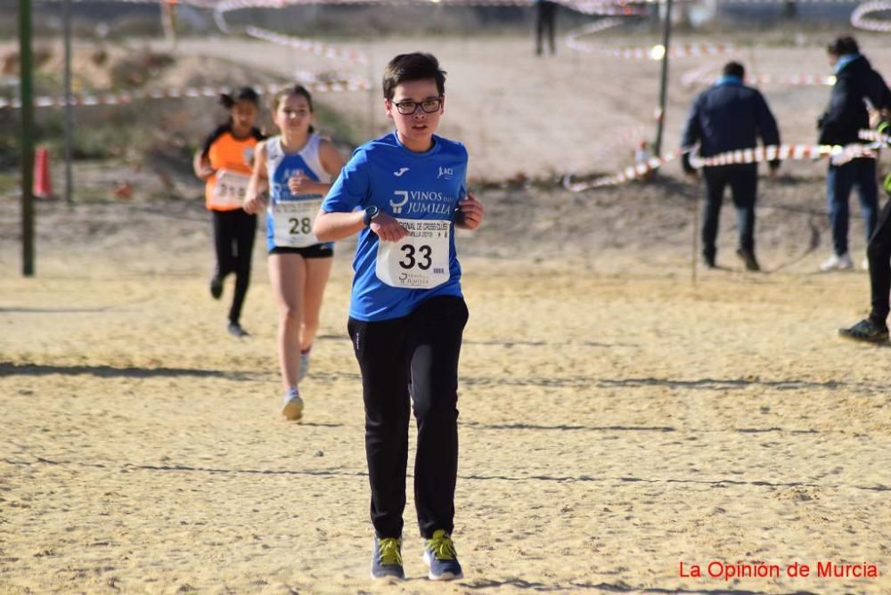 Cross de Jumilla 2