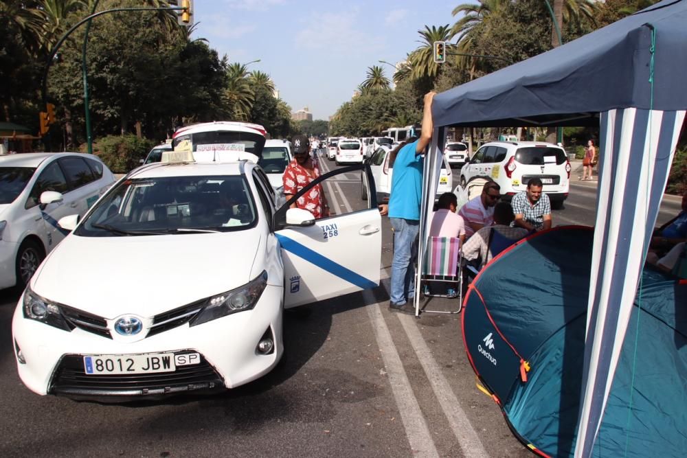 Los taxistas, acampados en el Paseo del Parque en una acción similar a las del Paseo de la Castellana de Madrid o la Gran Vía de Barcelona