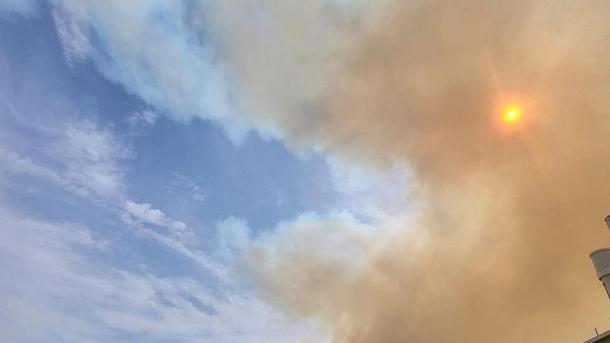 Las imágenes del grave incendio forestal en Los Garres (Murcia)
