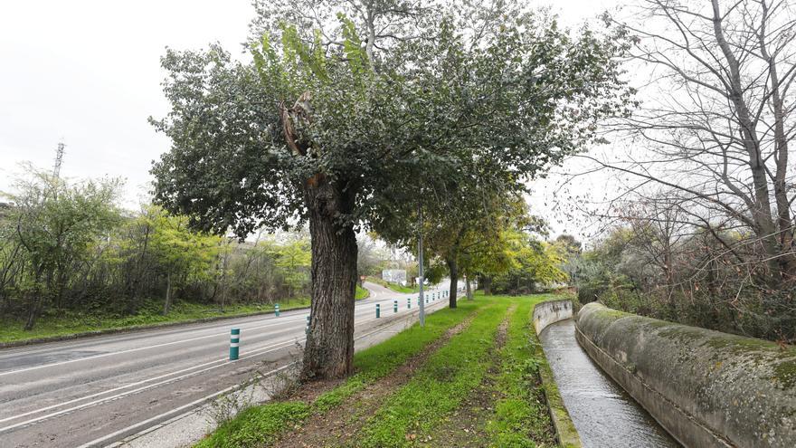 Cien millones de euros soterrarán el colector de la Ribera de Cáceres