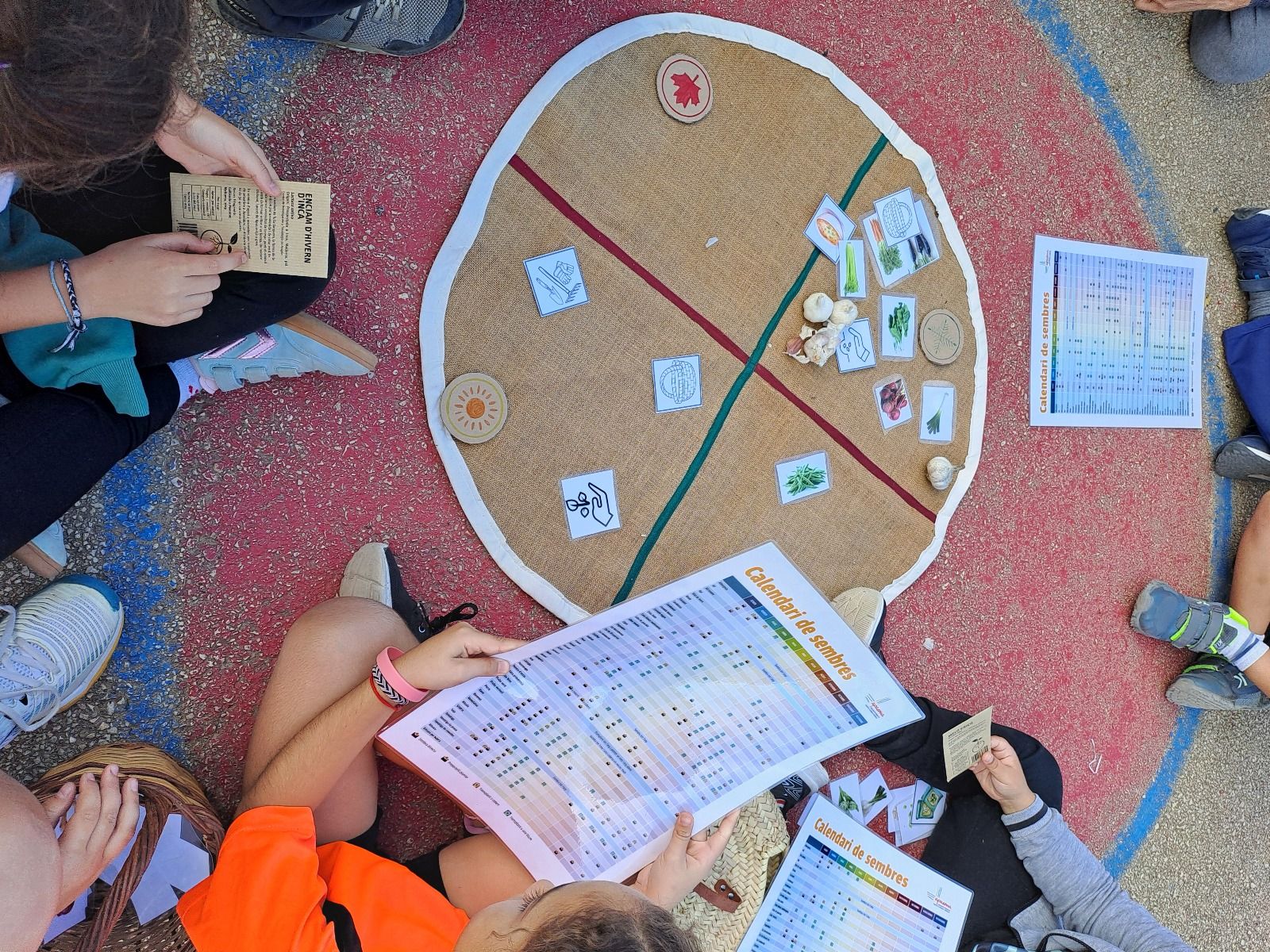 FOTOS | La agricultura ecológica llega a las escuelas
