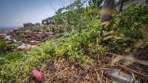 ‘Botellons’, burilles i incivisme a Collserola