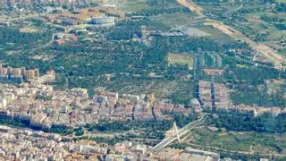 El palmeral d'Elx: El oasis del Baix Vinalopó