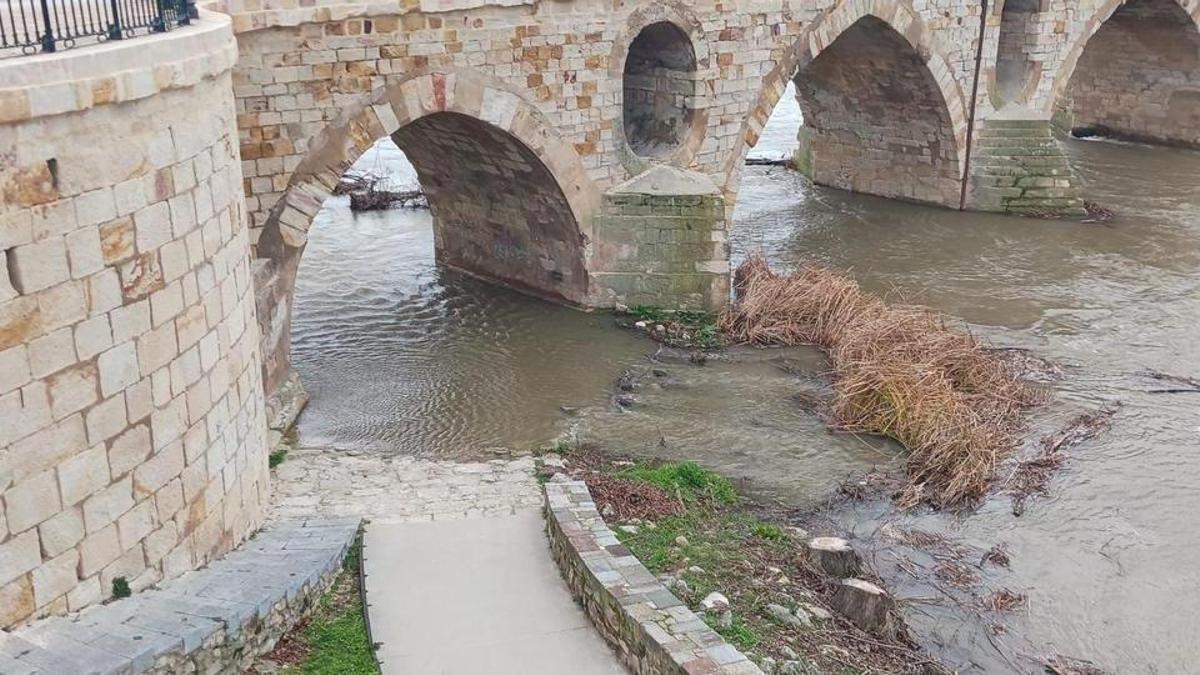 Crecida del Río Duero en Zamora