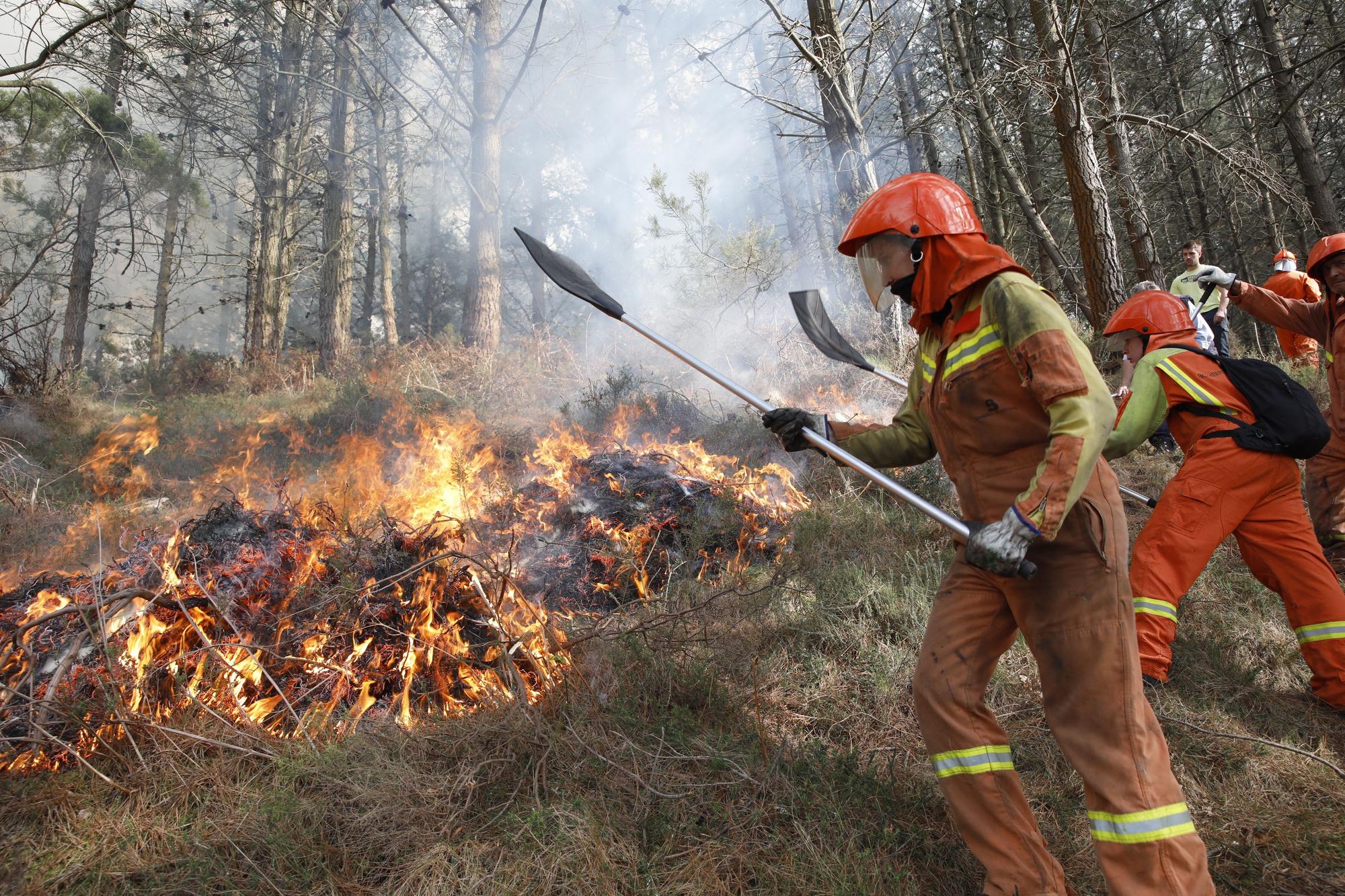 La lucha contra el fuego en el incendio entre Nava y Piloña