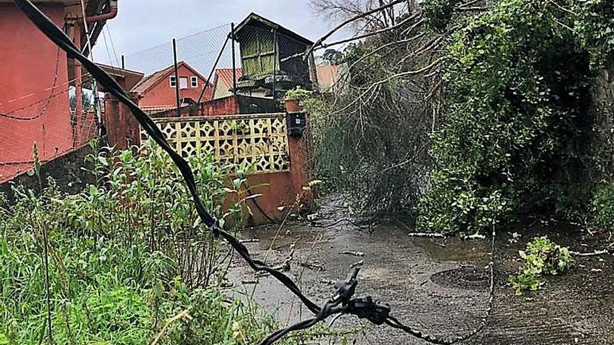 El cableado cayó sobre el camiño, que además quedó bloqueado por las ramas. |   // G.N.