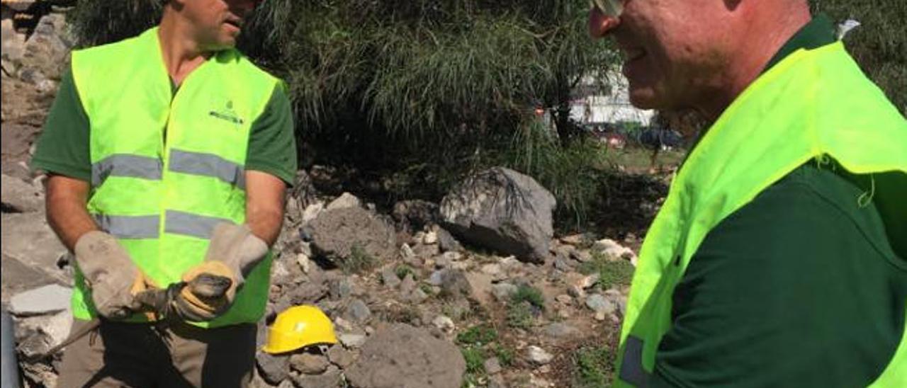 Dos trabajadores muestran ejemplares de lagartos de Tamaraceite.