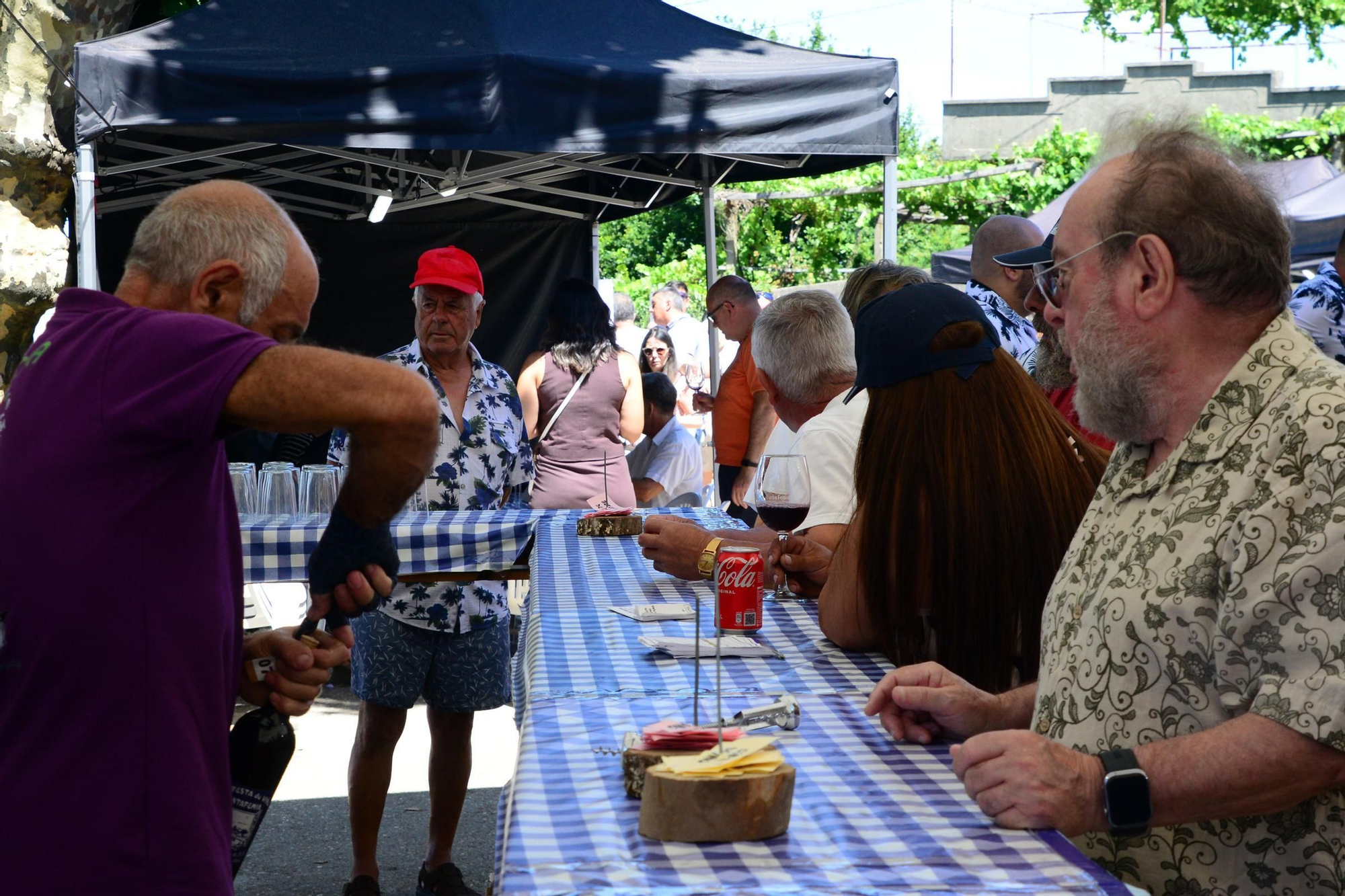 El último día de la XIX Festa do Tinta Femia de Cela