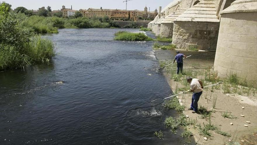 El vertido al río comenzó antes de la fecha que dijo la empresa