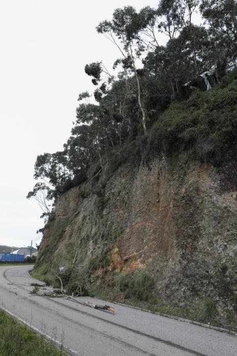 Un camión cae por una ladera de la ría de Avilés