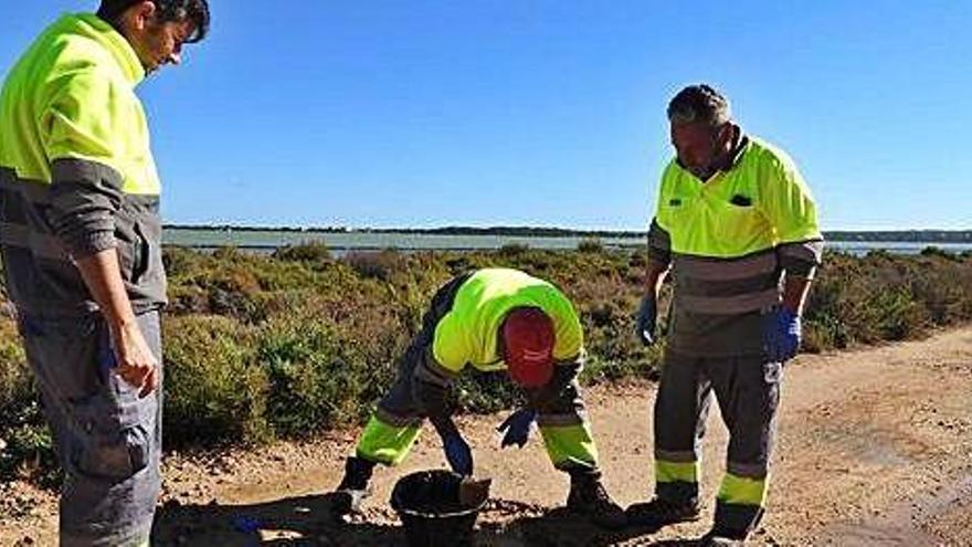 Los operarios trabajan en el punto de la fuga, en el &#039;camí&#039; des Brolls.