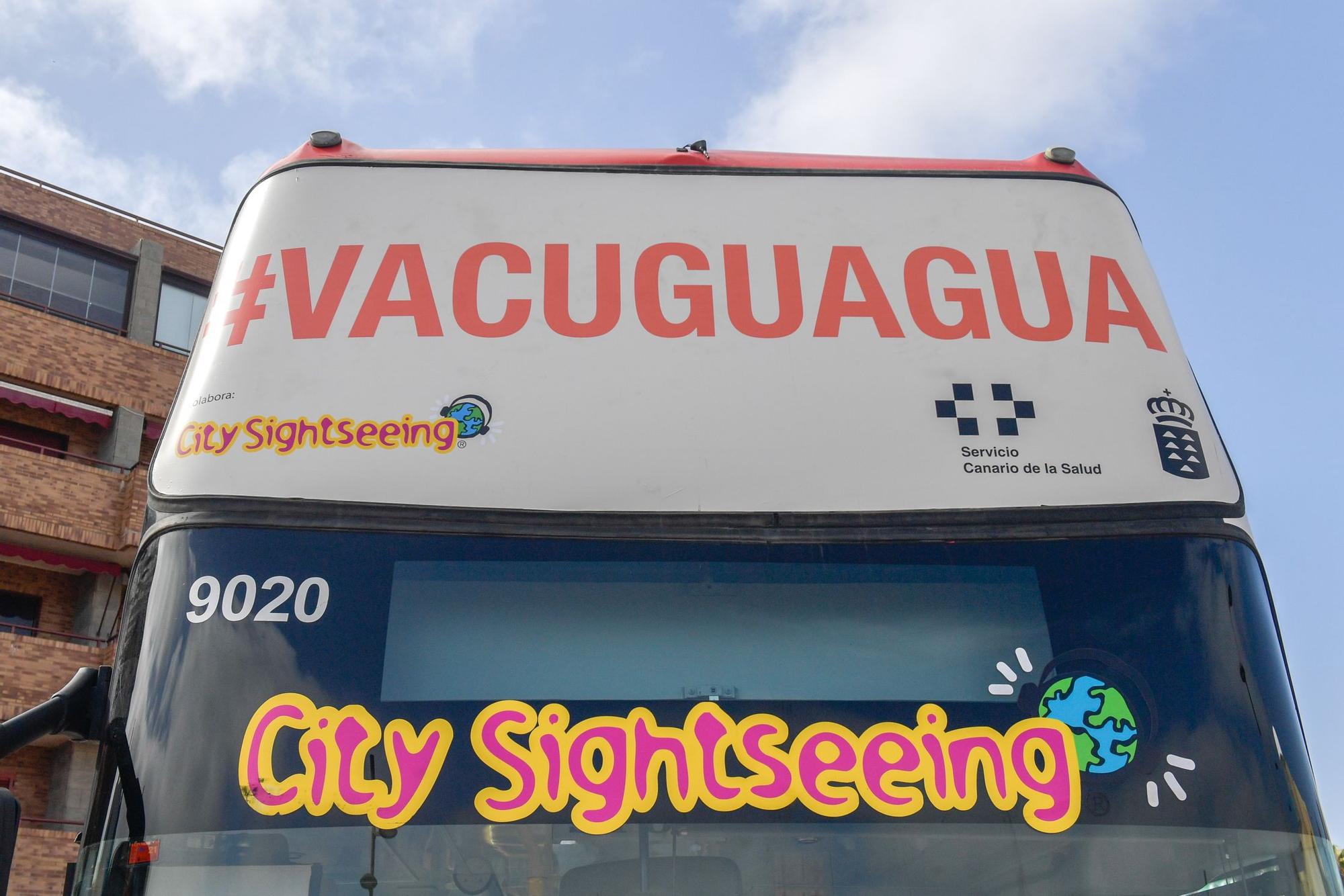 Así es la vacuguagua