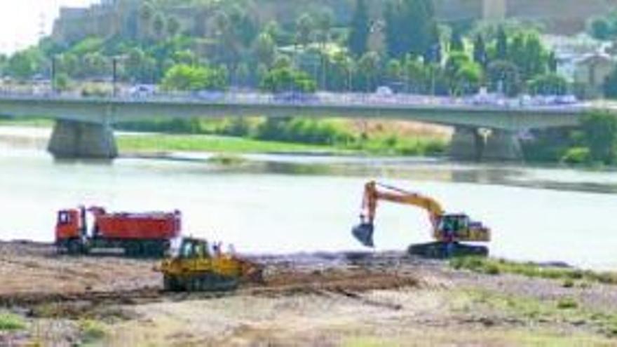 Las plantaciones en las márgenes del río se adelantan al otoño para agilizar la obra