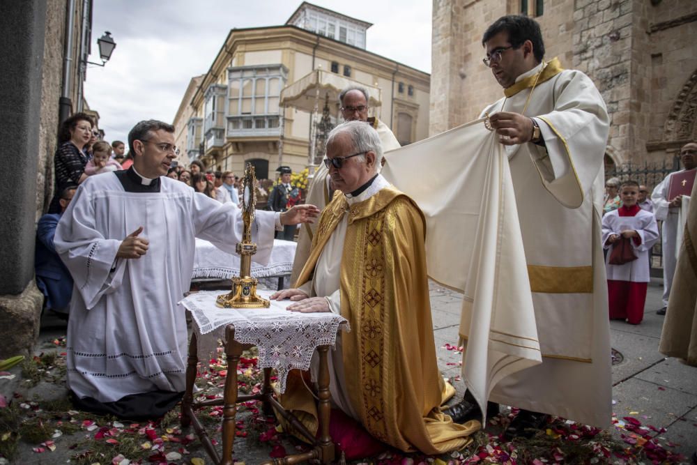 Celebración del Corpus Christi en Zamora