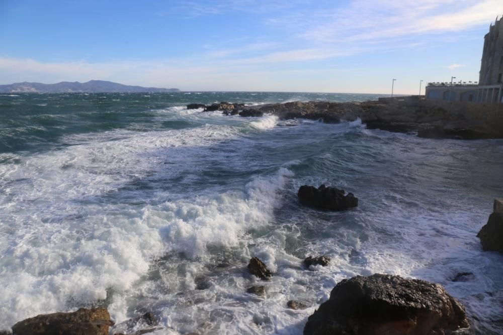 El vent provoca destrosses a l'Empordà