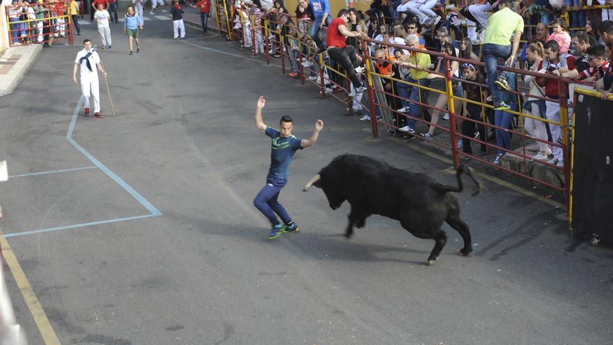 Una empresa cacereña presenta la única oferta al pliego taurino de las fiestas del Toro de Benavente