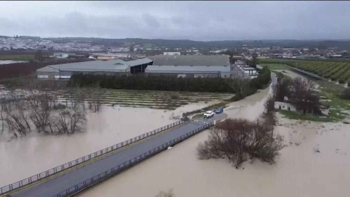Desbordamiento del Guadalquivir en el puente de la Algodonera, en Almodóvar del Río, el pasado invierno tras la borrasca Marta.
