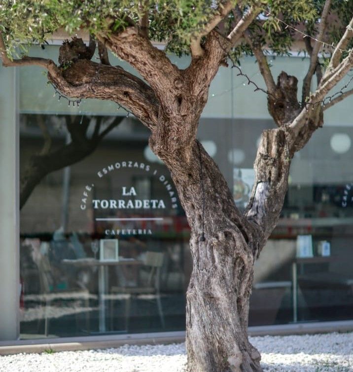 Hamburgueses i torrades variades de qualitat a La Torradeta de Figueres