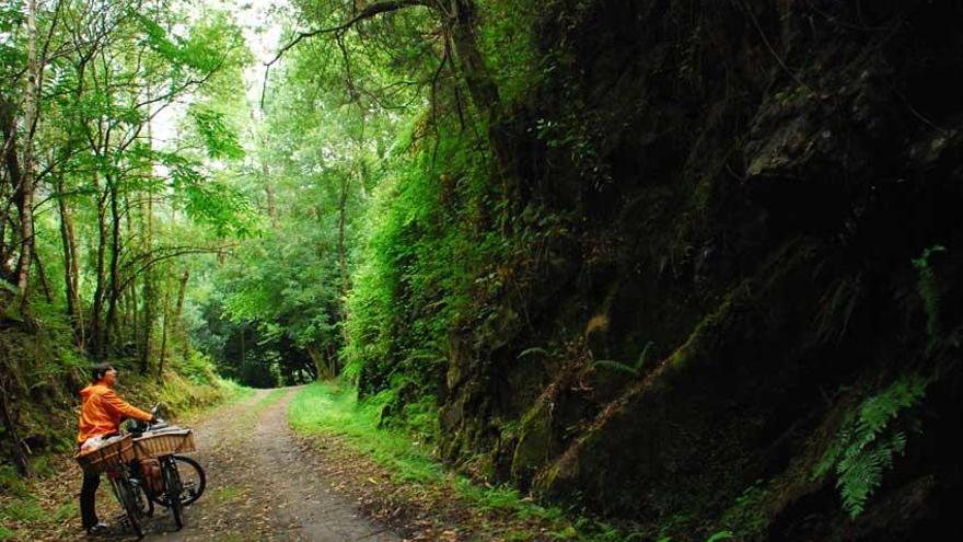 Galicia y Asturias impulsan la reserva de la biosfera Eo, Oscos y Tierras de Burón