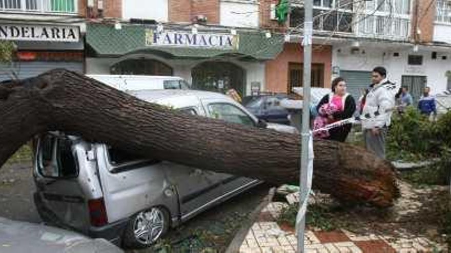 El tornado, dos años después