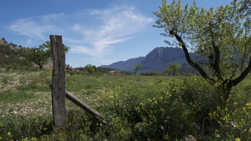 Una de las vistas que se observarán desde el nuevo camino.