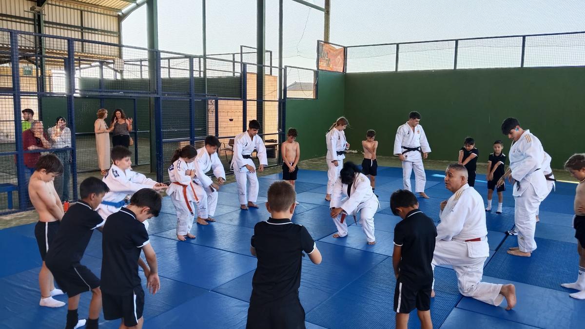 Federación Extremeña de Judo.