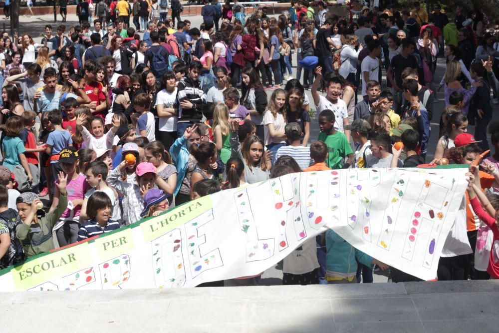 Actividades de la III Marxa Escolar per l'Horta