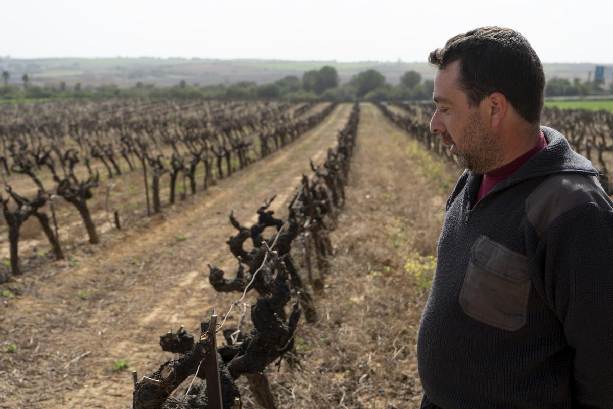 Antonio Pancho, agricultor.