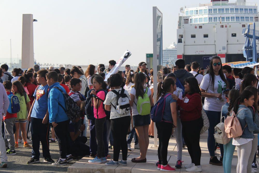 En la muestra participan más de 3.000 alumnos y 400 docentes de 85 centros de la provincia, en el Palmeral de las Sorpresas